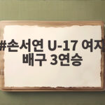 손서연 U-17 여자 배구 3연승