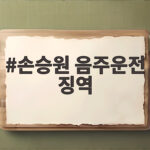 손승원 음주운전 징역 2년 확정 놓친 사실 총정리 손승원 음주운전 징역