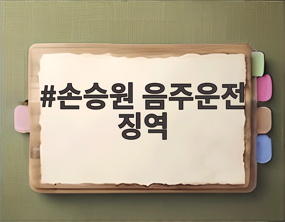 손승원 음주운전 징역