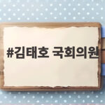 김태호 국회의원 개헌 논의 이재명 대통령 입장 김태호 국회의원