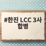 한진 LCC 3사 합병 확정 국내 1위 통합 진에어 출범 임박 한진 LCC 3사 합병