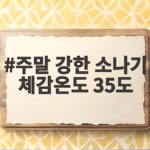 이번 주말 강한 소나기와 체감온도 35도 폭염, 안전하게 보내는 법 주말 강한 소나기 체감온도 35도