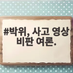 박위, 사고 영상 비판 여론.
