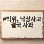 박위, 낙상사고 결국 사과
