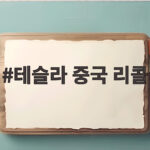 테슬라 중국 리콜