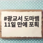 광교 도마뱀 11일 만에 포획, 주민 불안 해소와 법적 문제 광교서 도마뱀 11일 만에 포획