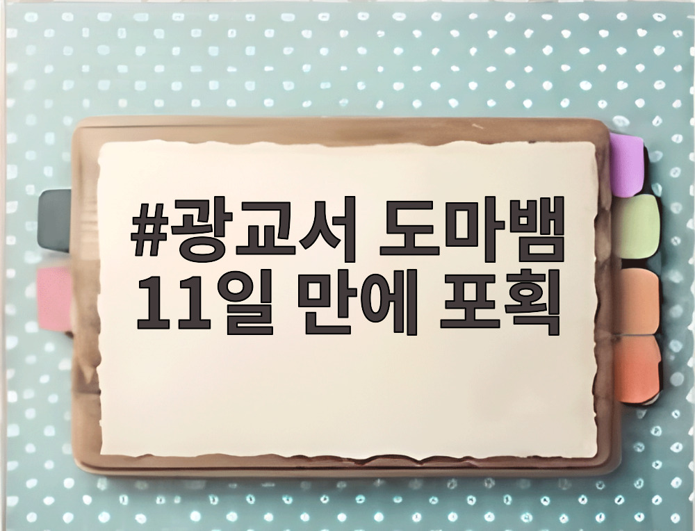광교서 도마뱀 11일 만에 포획