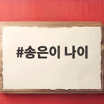 송은이 나이 52세 옥탑방 우정 이야기 송은이 나이