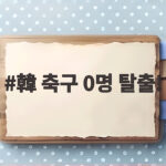 한국 축구 0명 탈출! 김지수 브렌트포드 1군 명단 포함 확정 韓 축구 0명 탈출!
