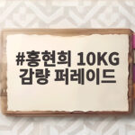 홍현희 10KG 감량 후 롯데월드 퍼레이드 공주 등장 포착 홍현희 10KG 감량 퍼레이드