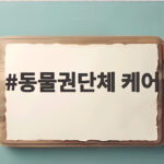 동물권단체 케어가 알려주는 유기동물 문제 해결 방법 동물권단체 케어