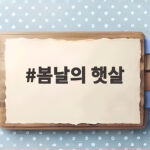 봄날의 햇살 하윤경 전지적 참견 시점 하이라이트 봄날의 햇살