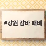 강원 감바 패배 연장전 아쉬움 ACL2 도전 강원 감바 패배