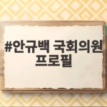 안규백 의원 프로필, 64년 만의 민간인 국방부 장관 후보의 정체 안규백 국회의원 프로필