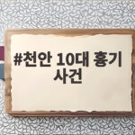 천안 10대 흉기 사건 존속살해 혐의 체포 아들 진술 살펴보니 천안 10대 흉기 사건