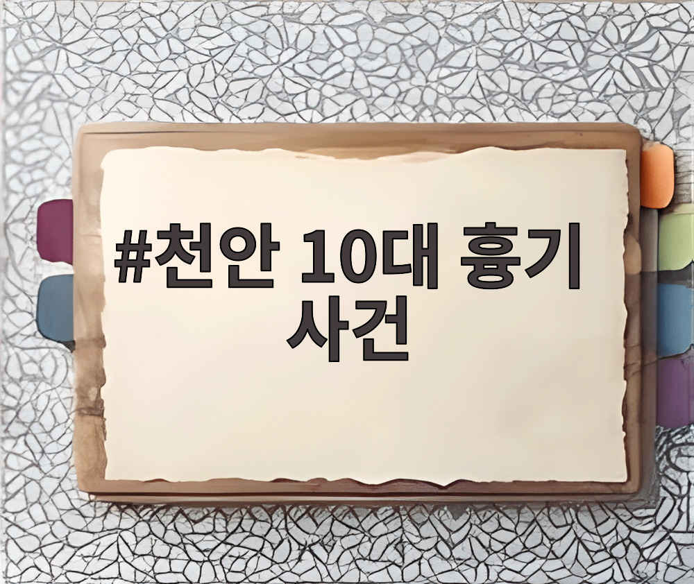 천안 10대 흉기 사건