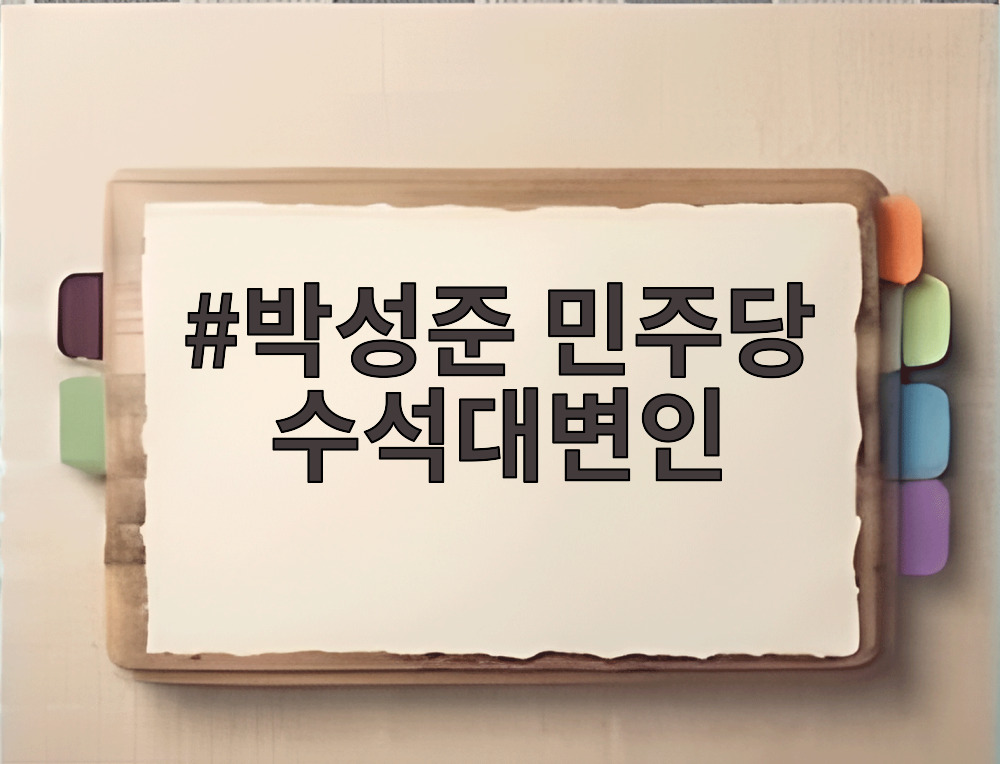 박성준 민주당 수석대변인