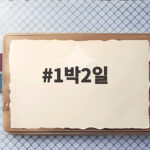 1박2일 거제 편 결방 스페셜 방송과 여행 팁 1박2일