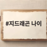 지드래곤 나이