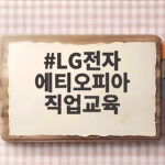 혈맹을 품다 LG전자 에티오피아 직업교육 10년의 감동 LG전자 에티오피아 직업교육
