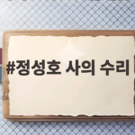 정성호 법무장관 사의 수리 후속 인선 가장한 관망 정성호 사의 수리