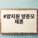 양지원 양준모 재혼