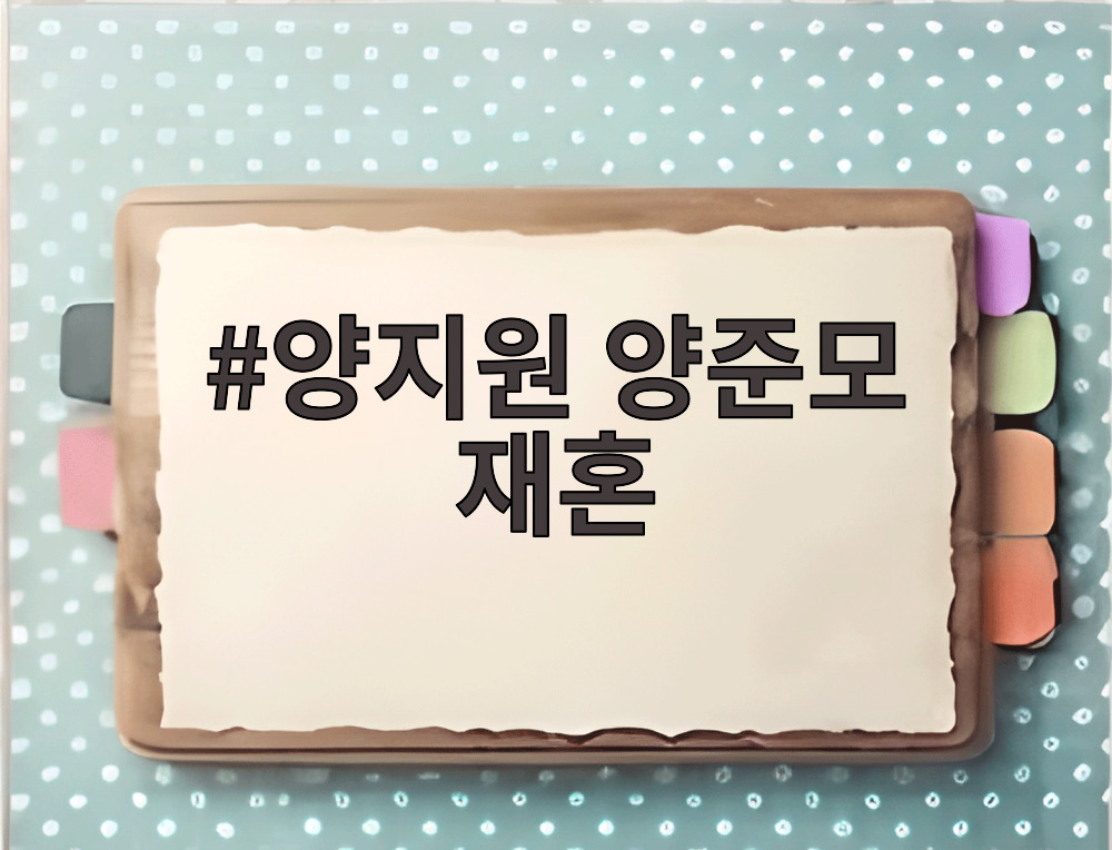 양지원 양준모 재혼