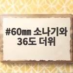내일 60㎜ 소나기와 36도 더위, 대비하고 싶다면 필독 60㎜ 소나기와 36도 더위