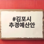 김포시 추경예산안 2조원 어디에 어떻게 쓰일까 김포시 추경예산안