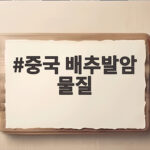중국 배추발암 물질
