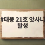 태풍 21호 앗사니 발생 한반도 주변 태풍 4개 동시 활동 상황 태풍 21호 앗사니 발생
