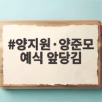 양지원·양준모 예식 앞당김