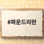 파운드리란 무엇이며 삼성 파운드리가 흑자 전환을 노리는 이유 파운드리란