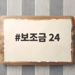 보조금 24