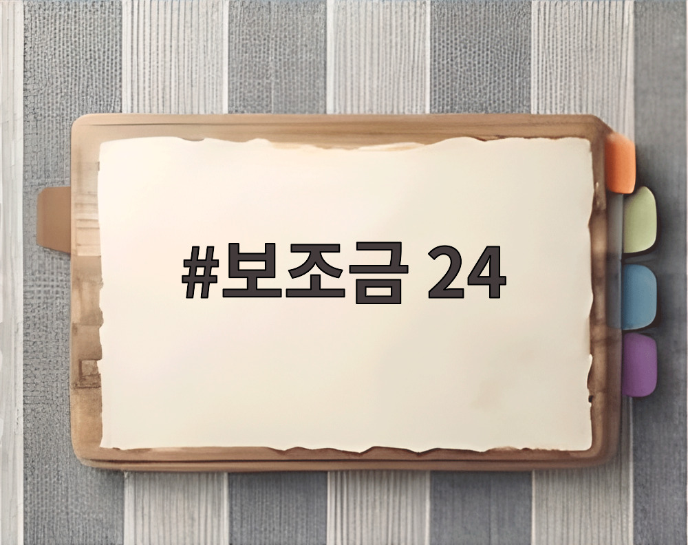 보조금 24