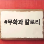 무화과 칼로리 1개와 다이어트 효능 정리 무화과 칼로리