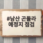 남산 곤돌라 예정지 점검