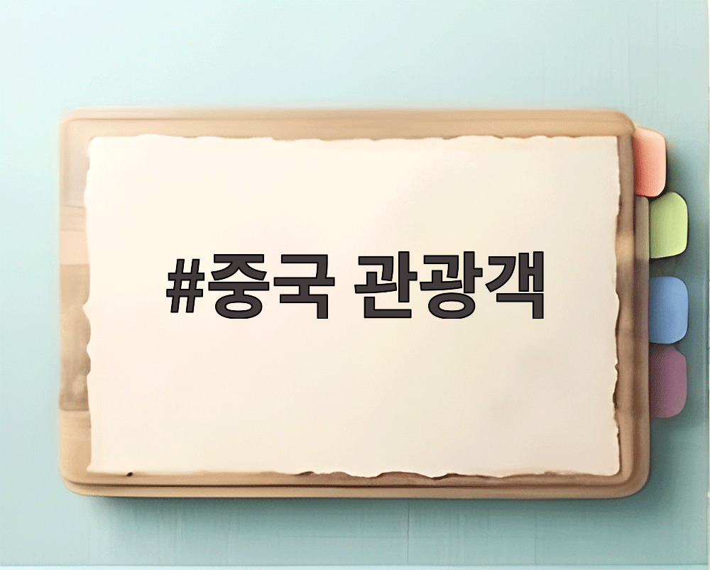 중국 관광객