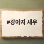 강아지 새우 삶은 것 먹어도 되나요 강아지 새우