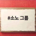 소노 그룹 세무조사로 본 고가 법인주택의 진실 소노 그룹