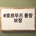 호르무즈 통항 보장 휴전 합의설과 향후 전망 호르무즈 통항 보장
