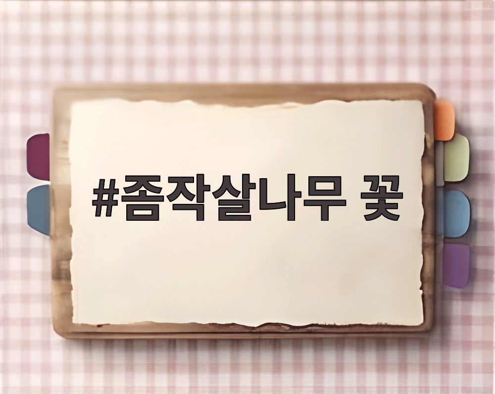 좀작살나무 꽃