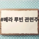 베라 루빈 관련주, 엔비디아 실적 발표 앞두고 투자 포인트 베라 루빈 관련주
