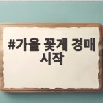 가을 꽃게 경매 시작
