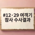 12·29 여객기 참사 수사결과 중간 발표 핵심 내용 확인하기 12·29 여객기 참사 수사결과