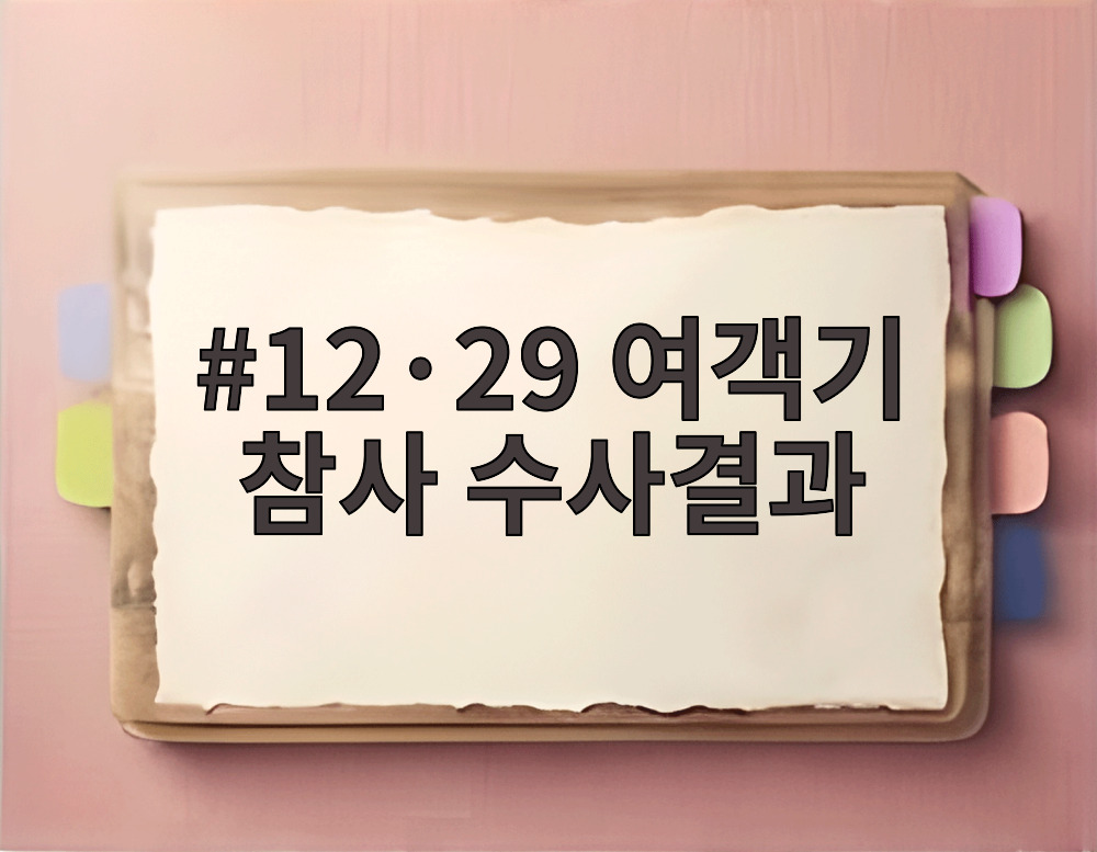 12·29 여객기 참사 수사결과