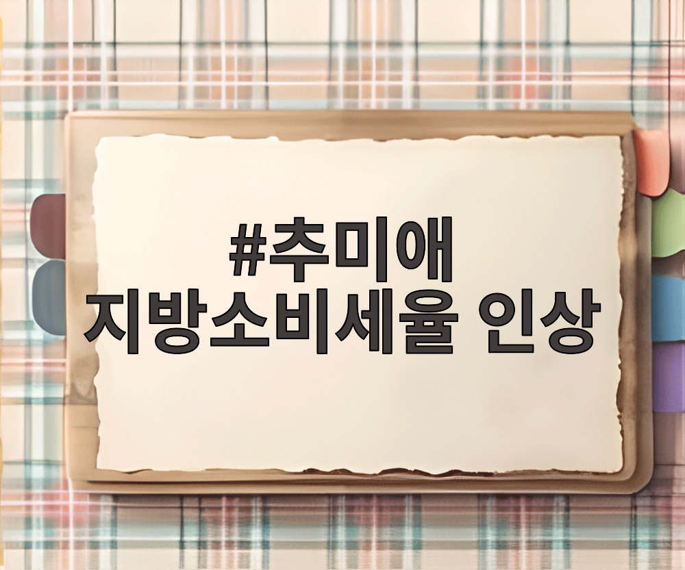 추미애 지방소비세율 인상