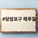 당암포구 해루질 쭈꾸미 참소라 꽃게 당암포구 해루질