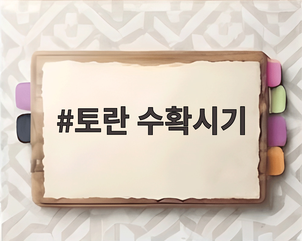 토란 수확시기