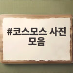 가을 코스모스 명소 사진 모음 8곳 코스모스 사진 모음